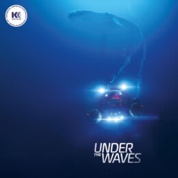 Обложка к диску с музыкой из игры «Under The Waves»